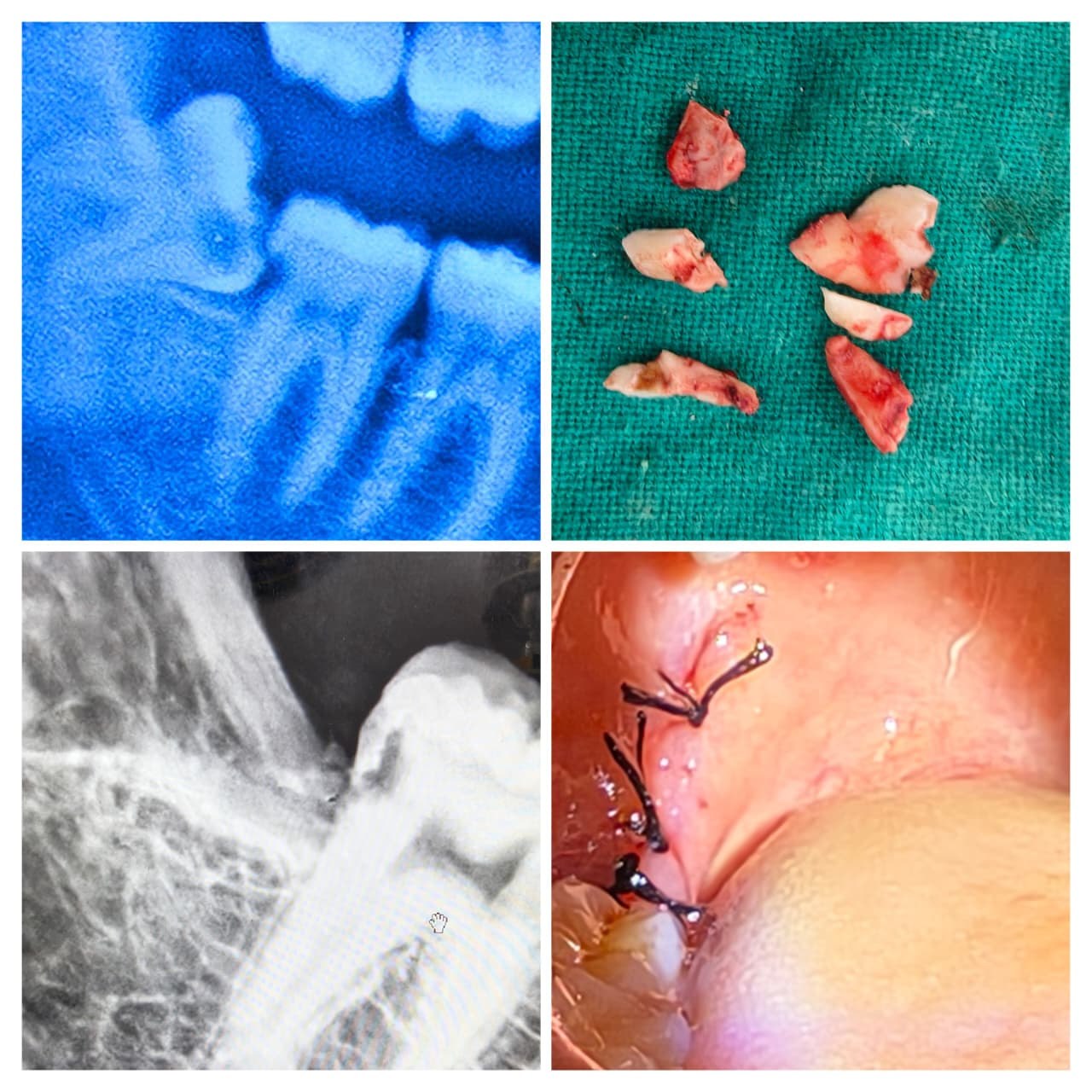 Surgical and diagnostic case documentation