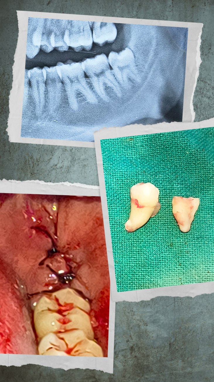 Surgical and diagnostic case documentation